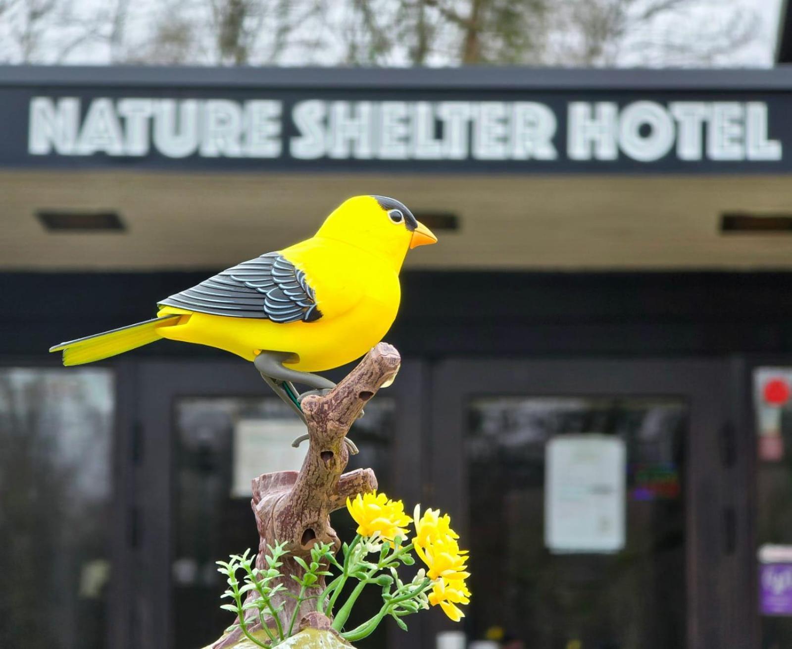 Nature Shelter Hotel Asljunga Екстер'єр фото